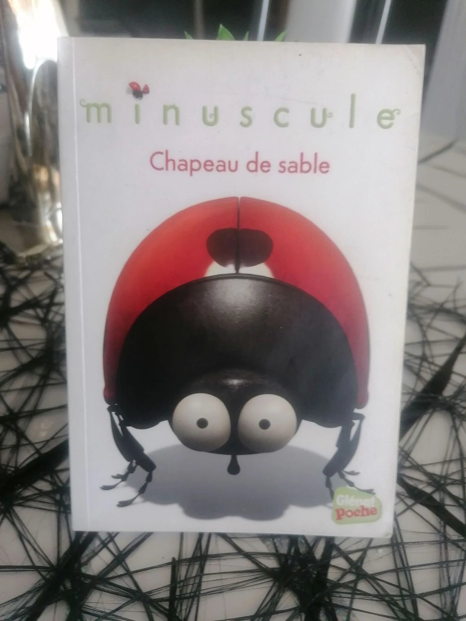 Livre Minuscule 📘